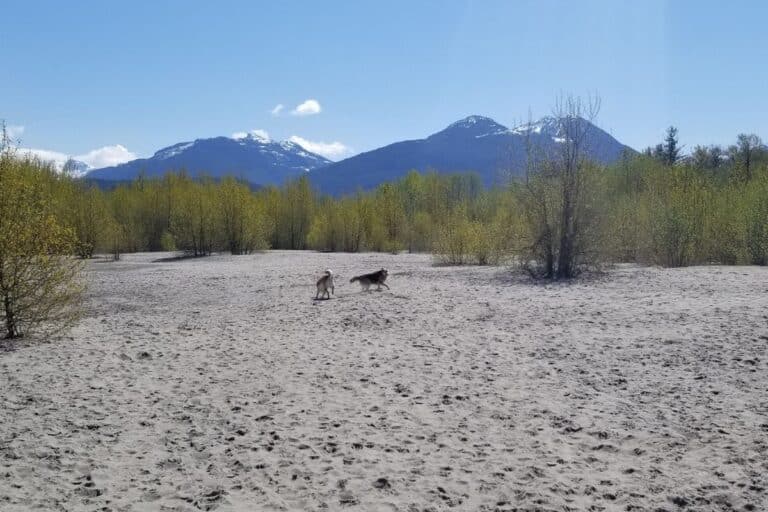 Best picnic spots in Squamish
