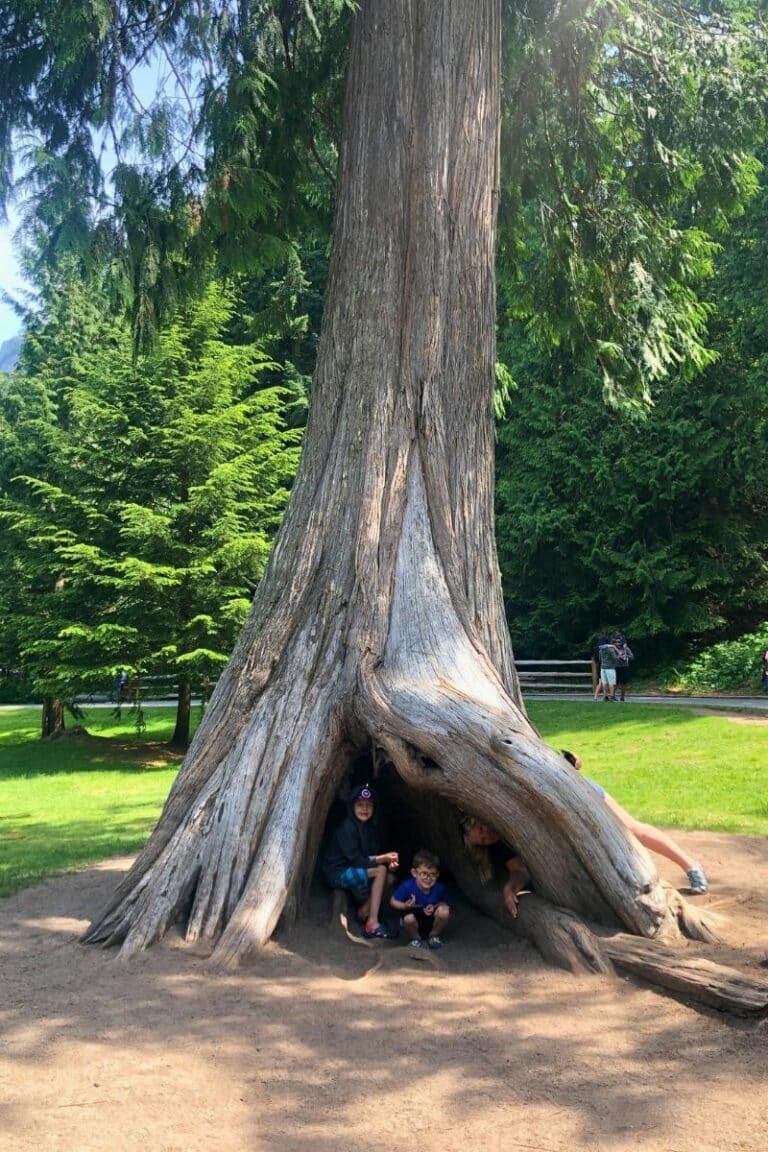 shannon falls picnic area