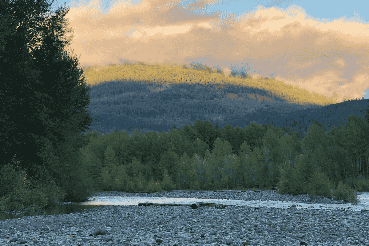 mamquam salmon spawning trails