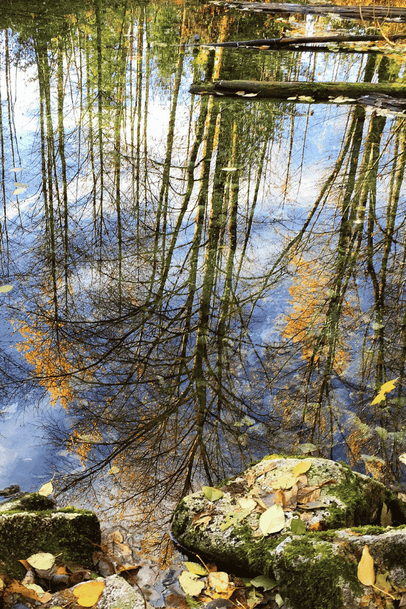 mamquam salmon spawning channel