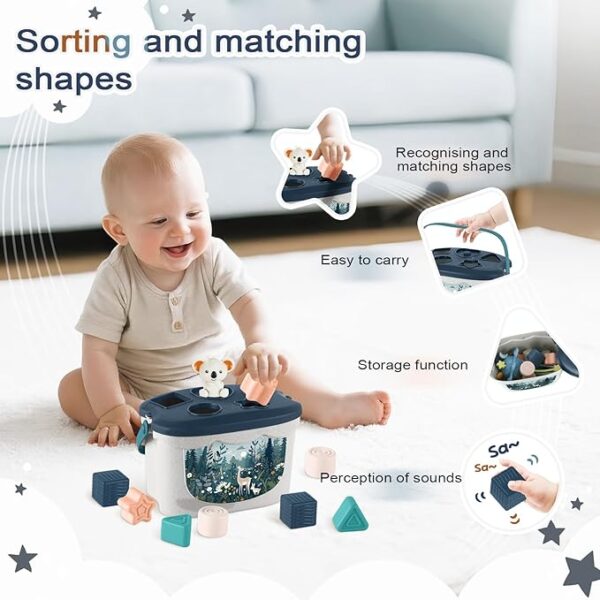 sorting and matching baby toy
