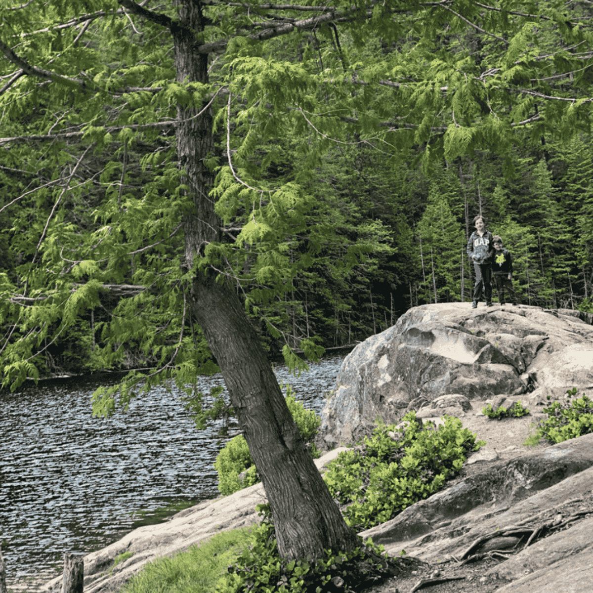 brohm lake squamish bc ()
