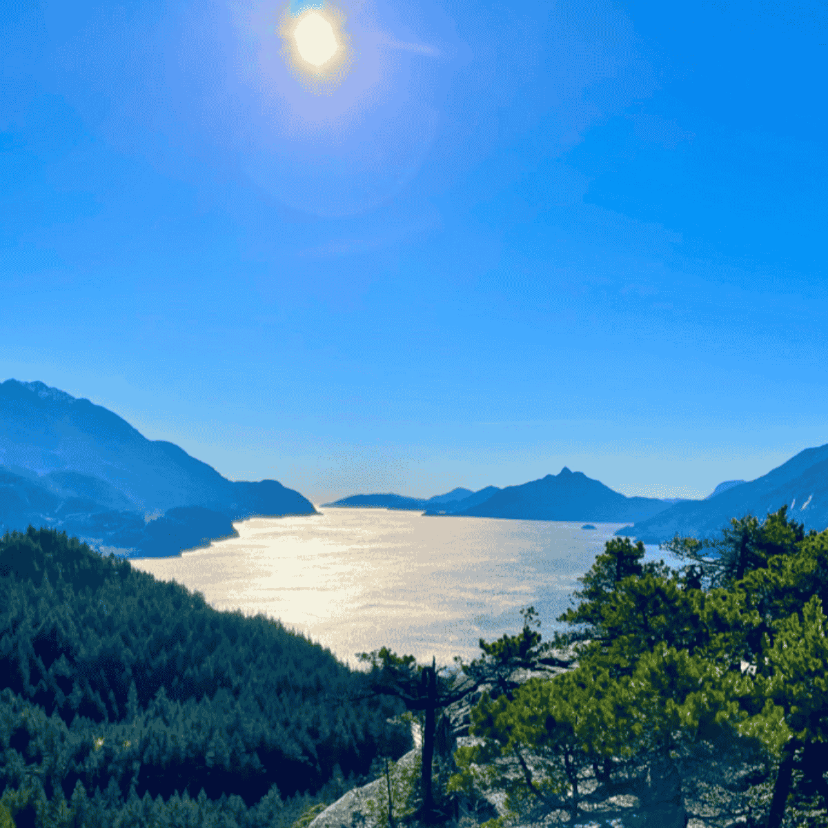 murrin loop trail lookout