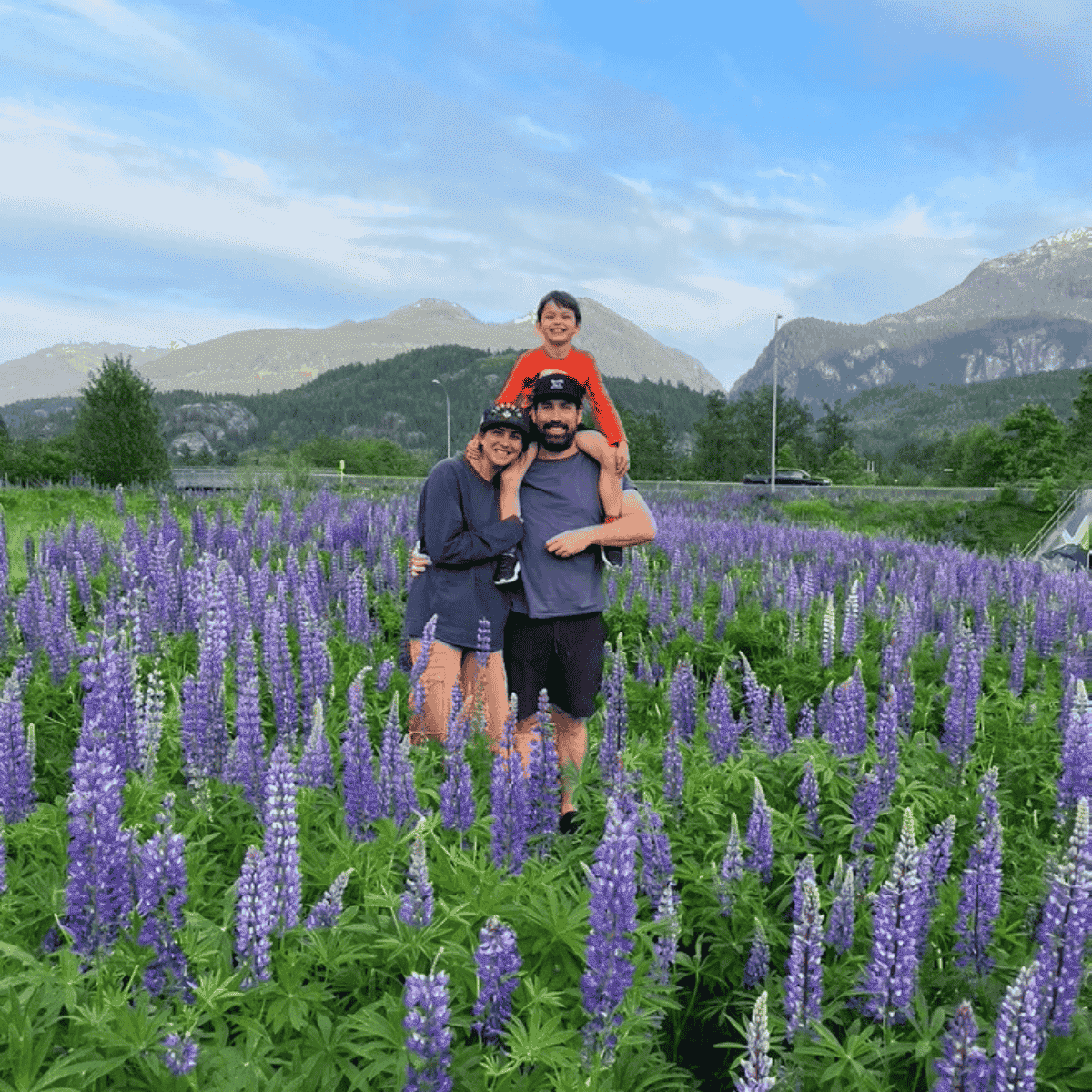 lupins mamquam dike squamish