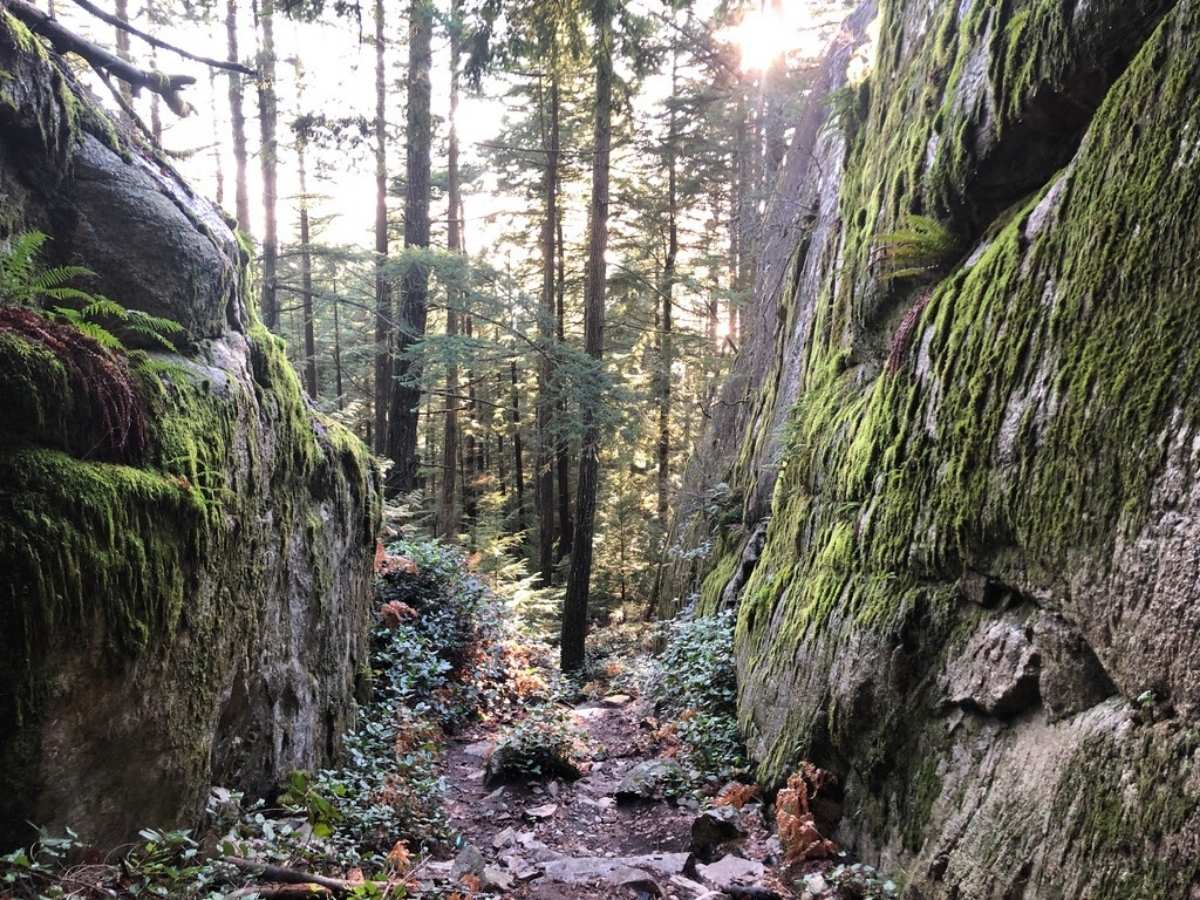 Murrin Loop Trail Squamish BC