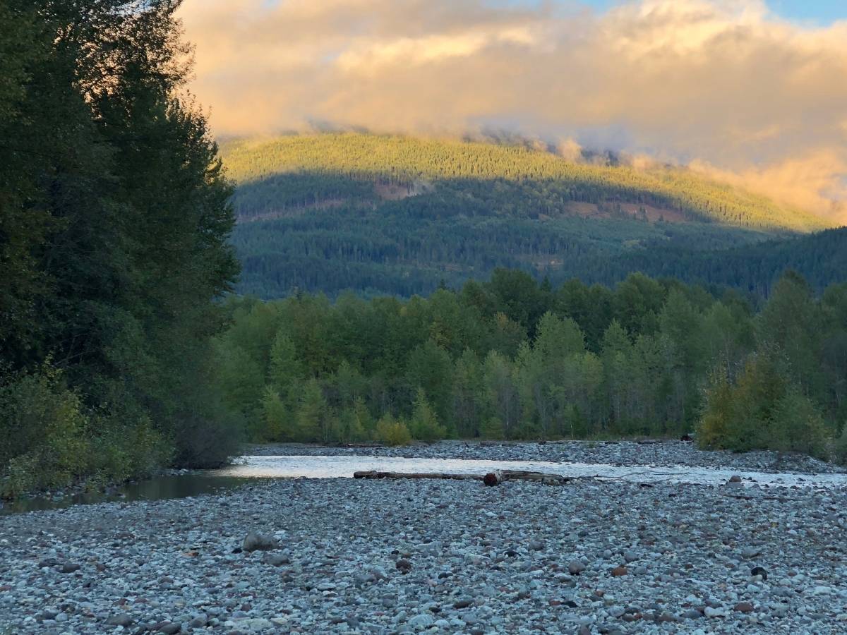 mamquam salmon spawning trails