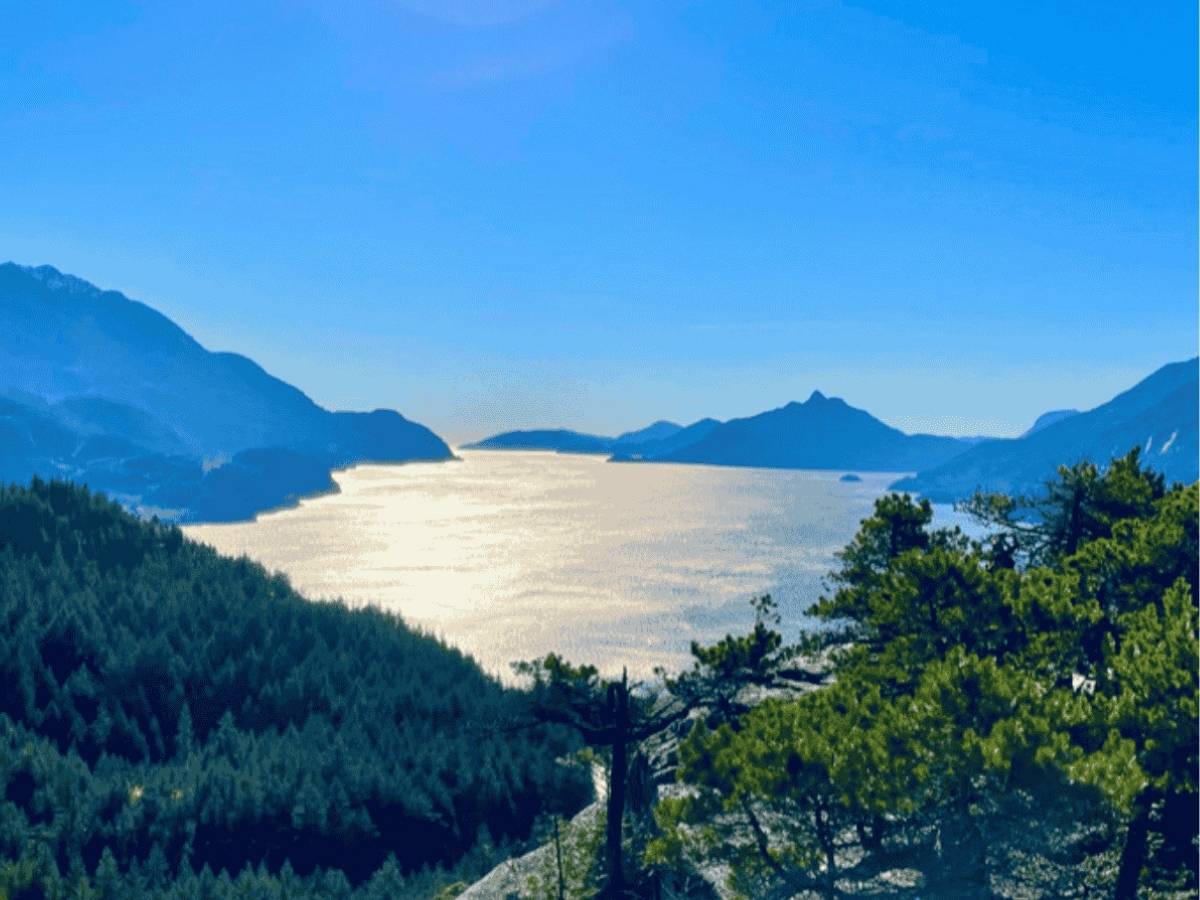 murrin loop trail lookout