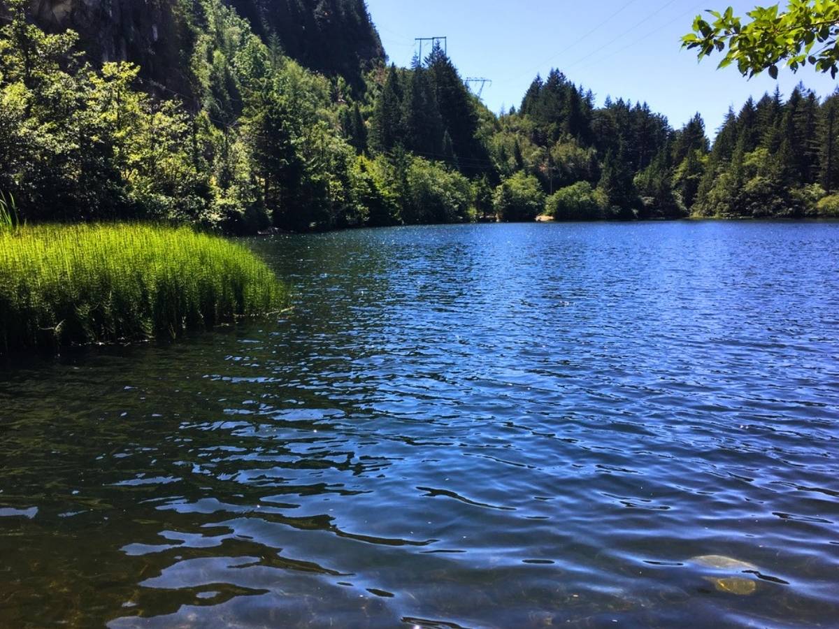 petgill lake murrin park