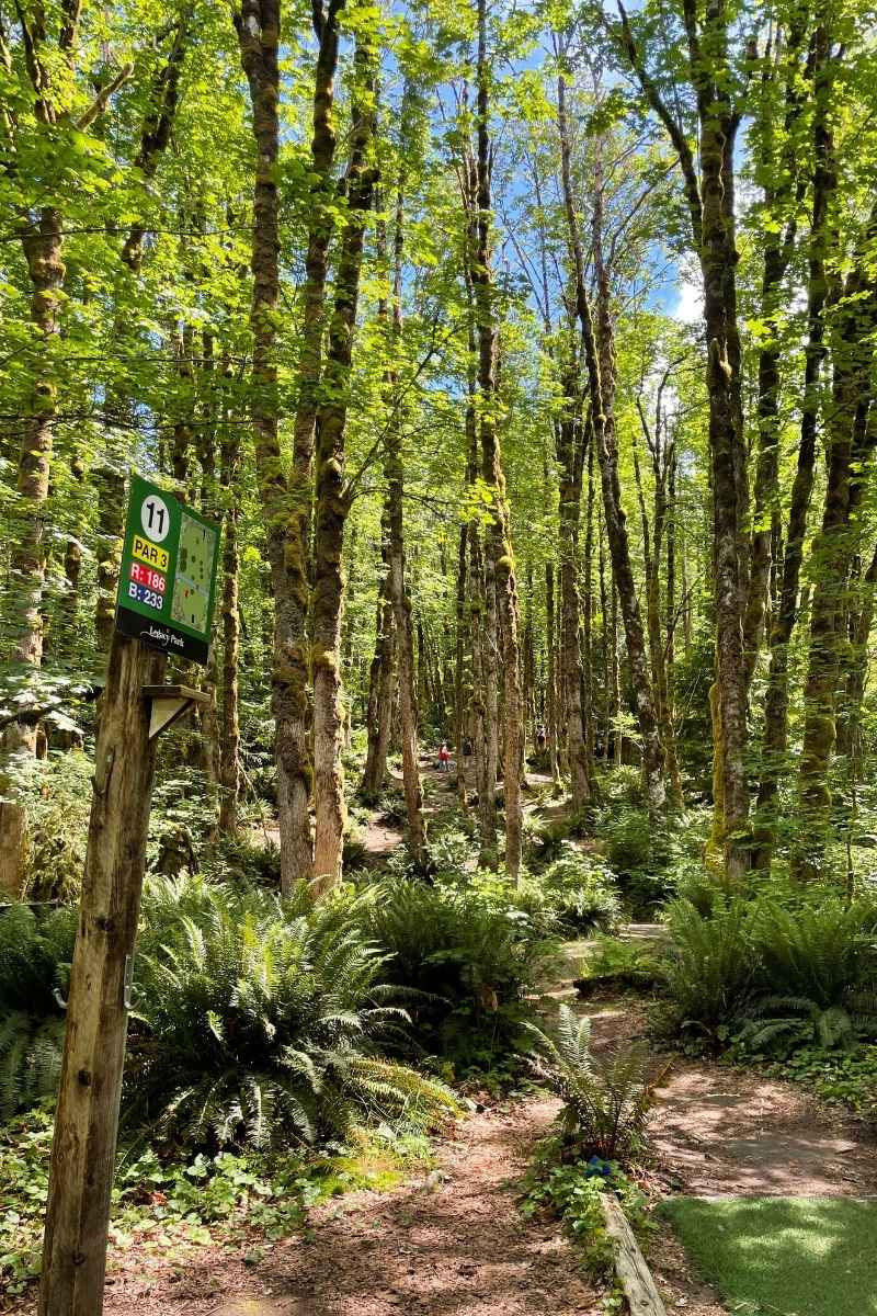 legacy park disc golf Squamish