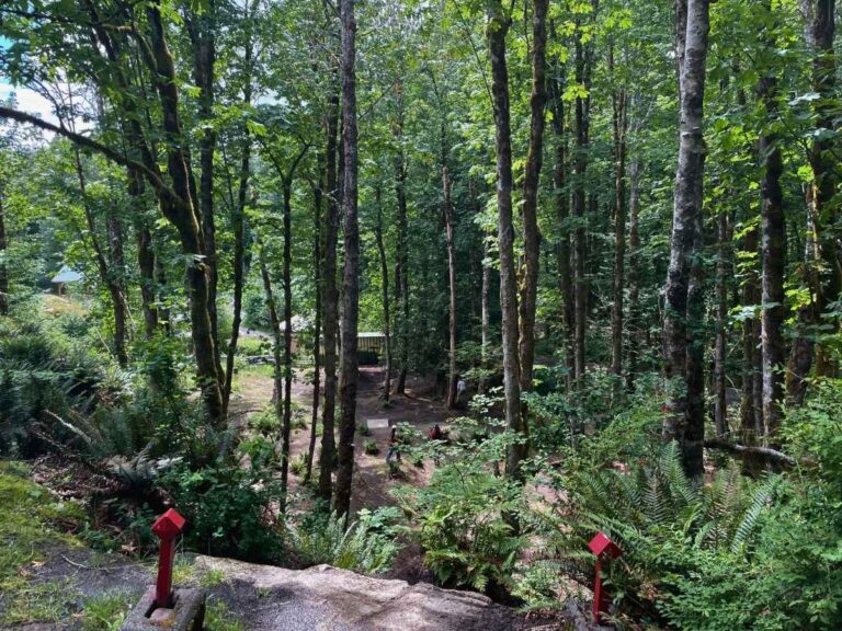 legacy park disc golf course squamish
