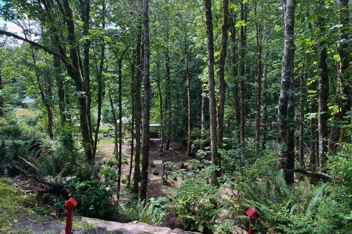 legacy park disc golf course squamish