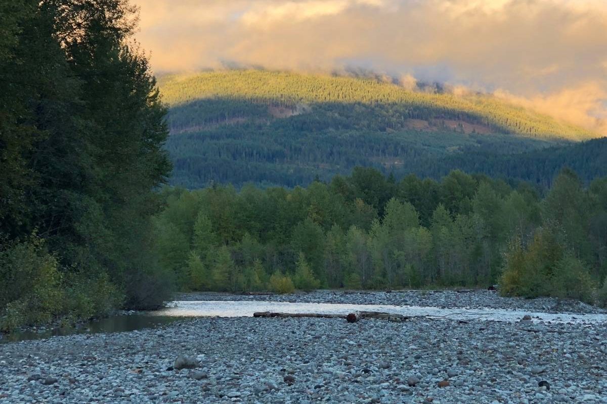 mamquam salmon spawning trails